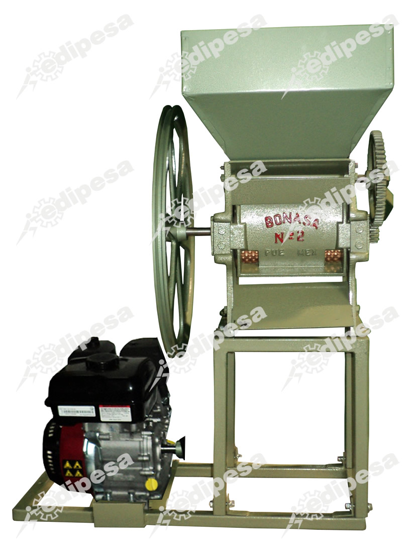 BONASA BAJ1080071 1 BONASA BAJ1080071