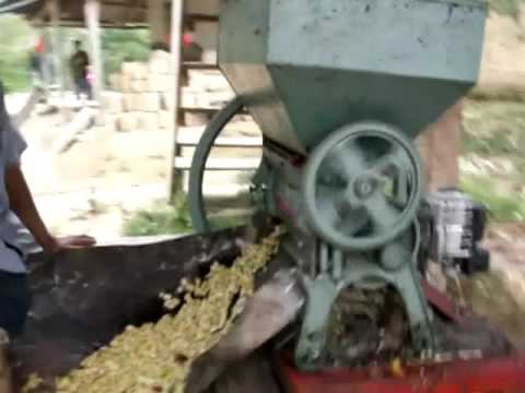 BONASA BAJ1080072 2 BONASA BAJ1080072